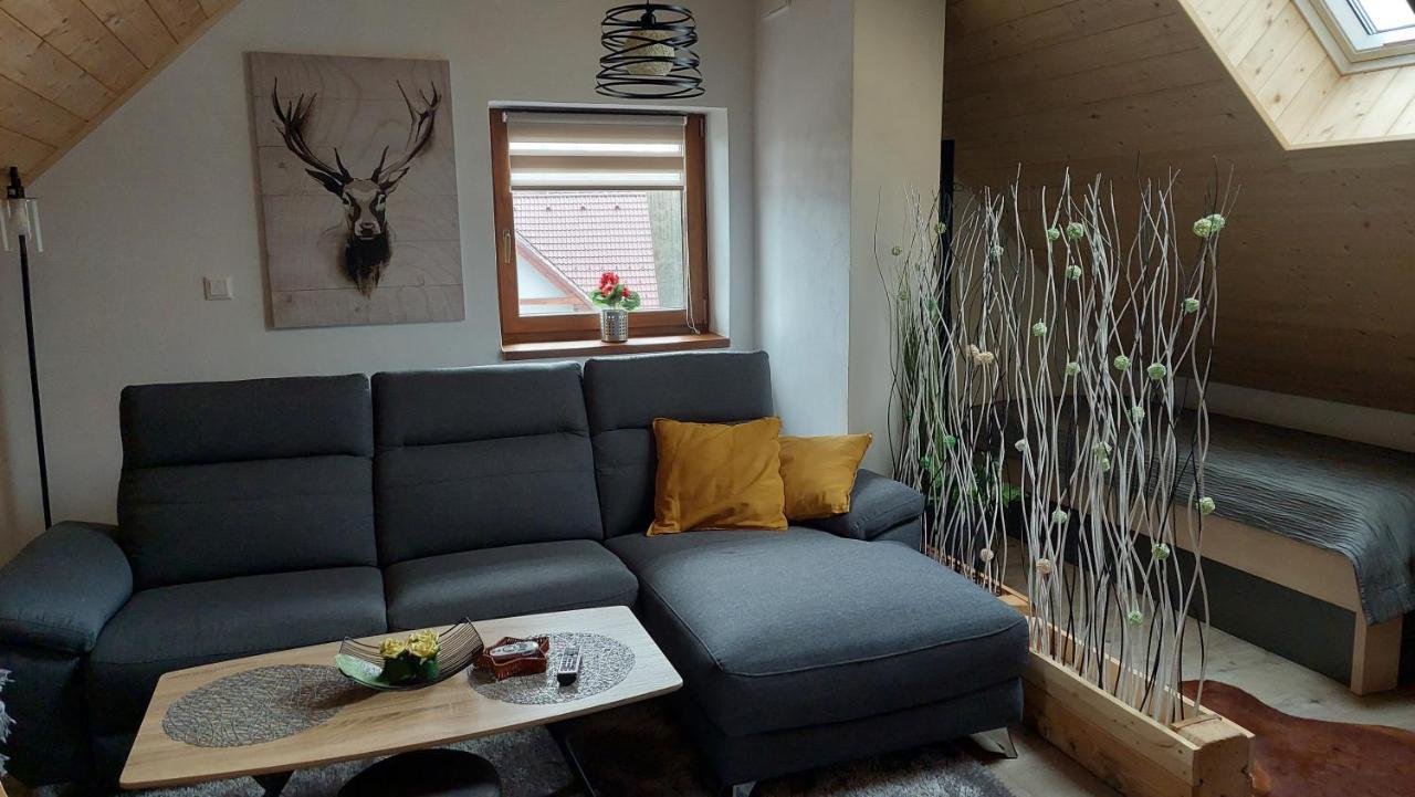 Apartman Pod Smrcinou Vaclavov u Bruntalu المظهر الخارجي الصورة